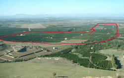 L'area del progetto (foto di Maria Adagio)